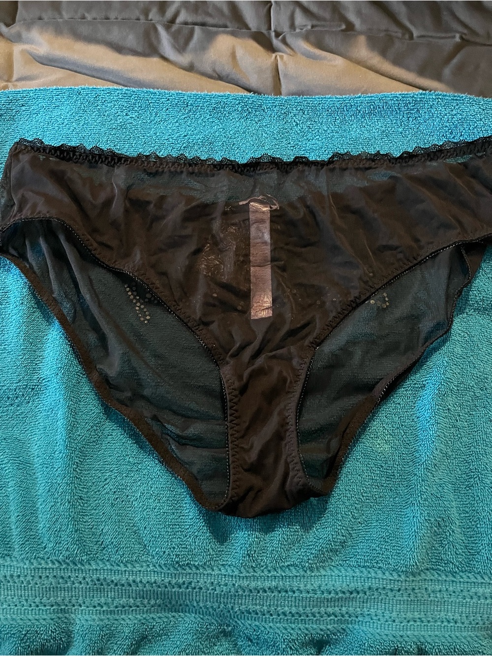 Savage X Fenty Black Sheer Bikini Panty